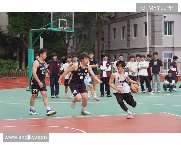 南京篮球队的默契配合与战术分析探讨篮球魅力的深度解读