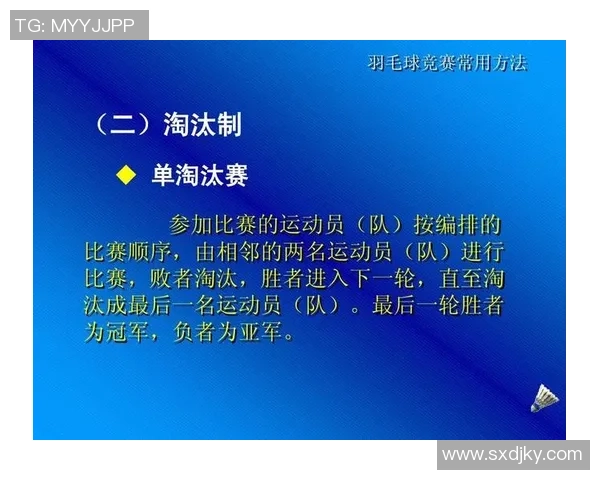 北京羽毛球队杯赛表现分析:团队配合与战术执行的完美结合 北京羽毛球队杯赛表现分析:团队配合与战术执行的完美结合
