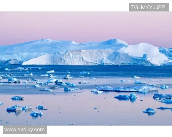 格陵兰足球明星前十名盘点揭示冰岛之星的崛起与挑战