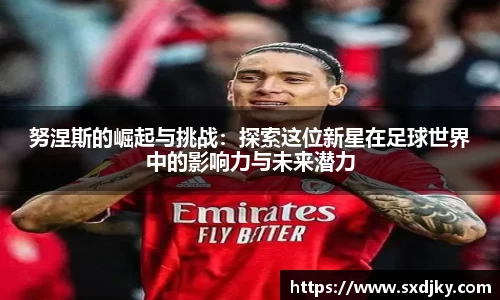 XK星空官网