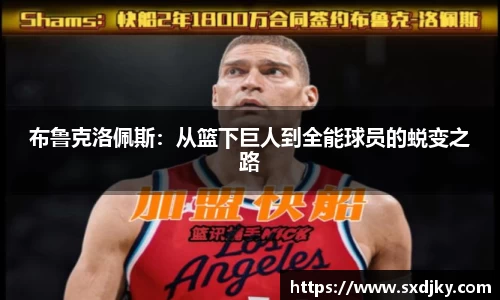 XK星空官网