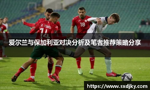 XK星空官网