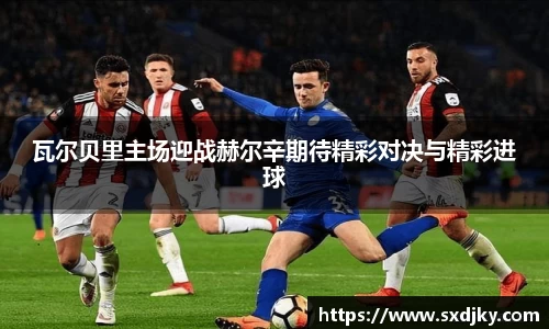 XK星空官网